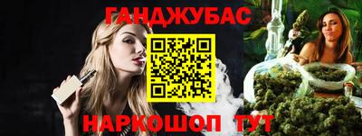 индика Можга