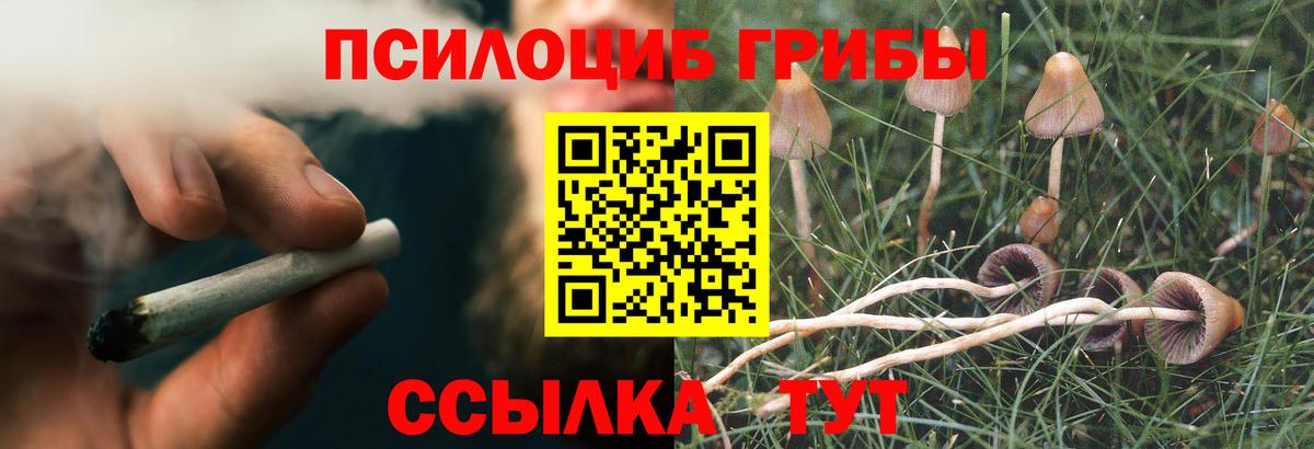 Галлюциногенные грибы Cubensis  Вход с VPN  Гудермес 